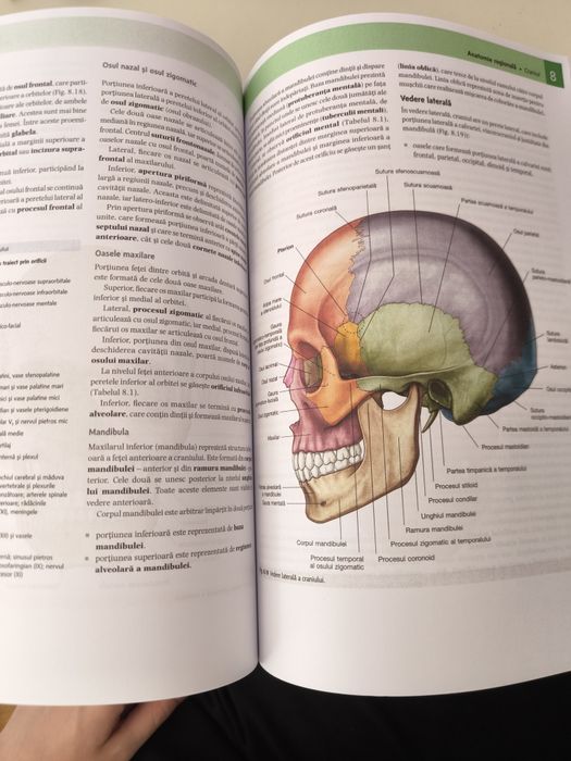 Anatomia lui Gray pentru studenți vol 2