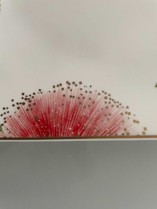 superb set rar pictat manual Villeroy&Boch Amazonia vesela 6 persoane