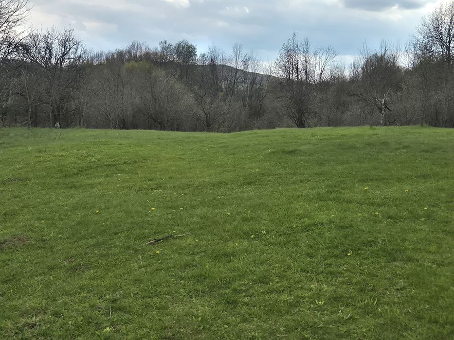 TEREN INTRAVILAN + AUTORIZAȚIE + LIVADĂ – 4.663 mp – Drajna, Făget, Prahova