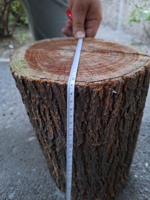 Карагач. Для рубки мяса