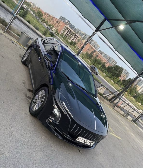 Hongqi E-QM5 Arendaga