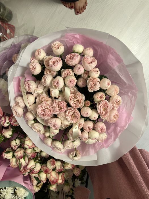 Продам цветы свежие