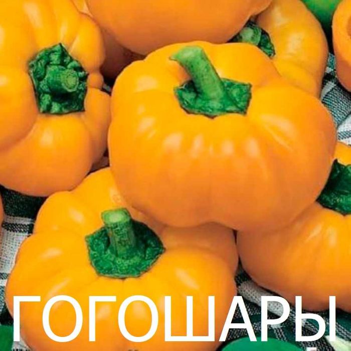 Перец, томаты, баклажаны