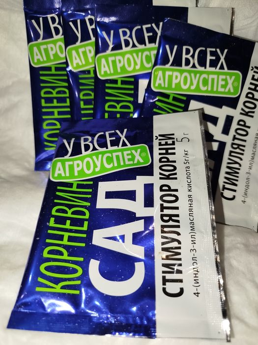 Доллар и другие цветы