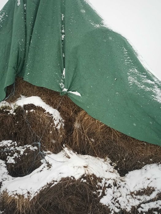 Vând baloti de paie,de orzoaica si fân