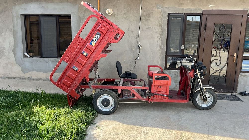 Муравей матциклл