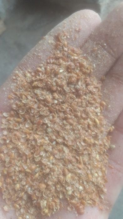 Отруби Овёс полова Зерноотходы колосок