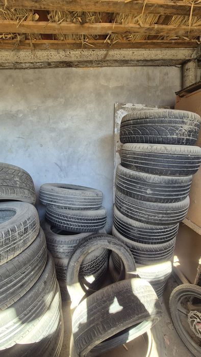 Рабочи балонлар 1 донаси  100 мингсум