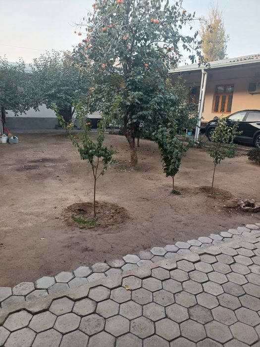 Район: Юнусабадский район, 10 квартал.
Ориентир: Уч кахрамон, махалля