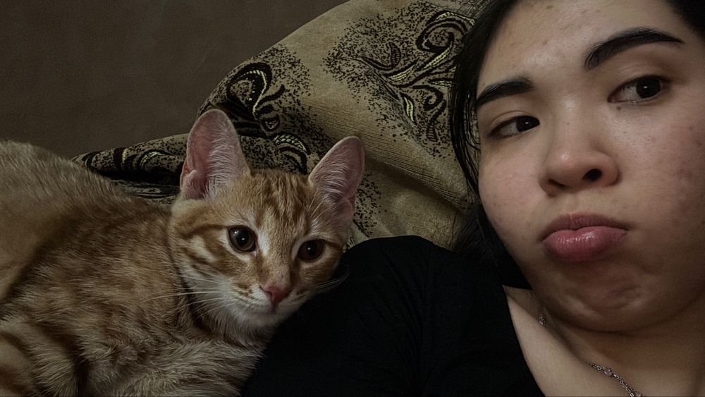 Пропал кот рыжий