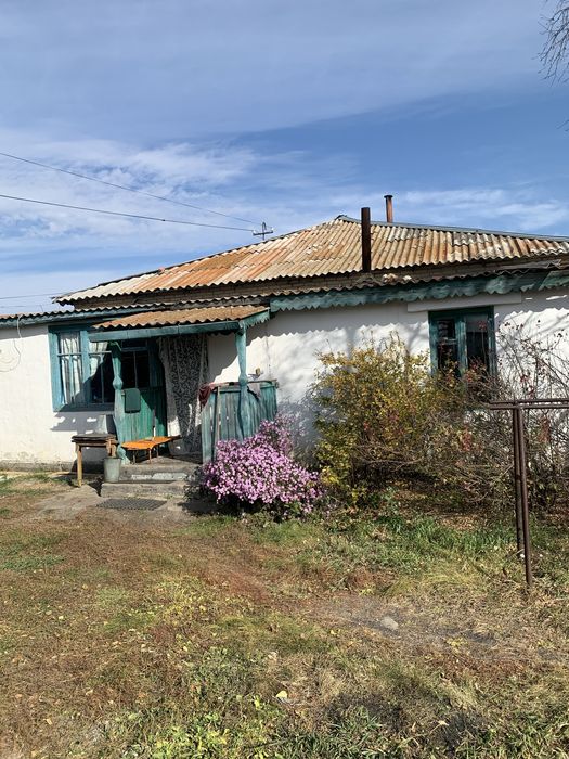 Частный дом в с. Алексеевка