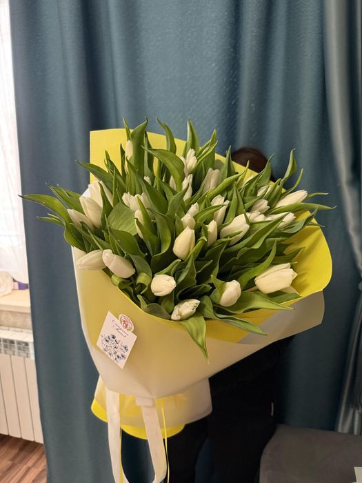 Тюльпаны голландские