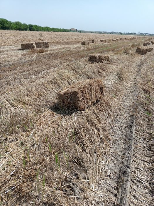 Somon press sotiladi dastafka qiberamiz Toshkent viloyati liboy joyiga
