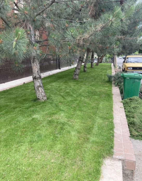 Газон посевной с Горантией