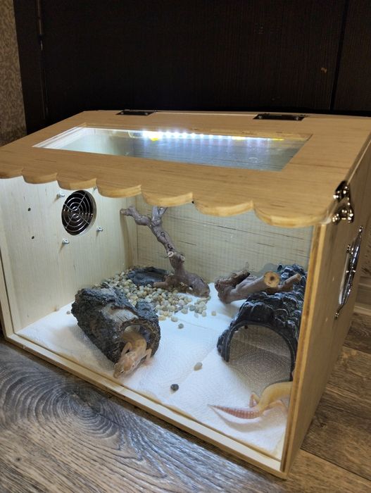 Террариум для рептилий