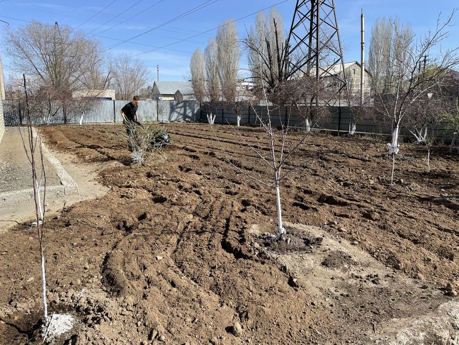 Услуги культиватора