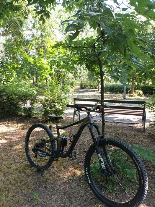 Giant Reign 29 2022 L