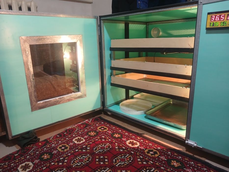 Инкубатор сатлады