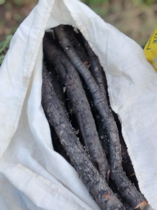 Продам дрова вишневые