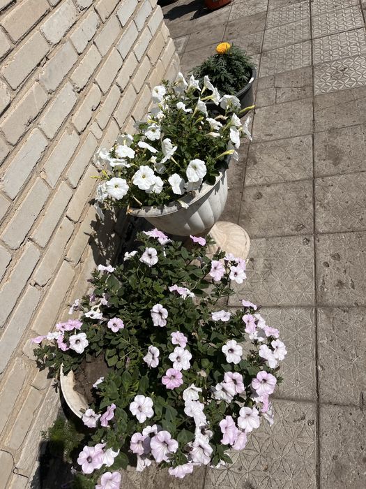 продам 1/2 дома  либо обмен