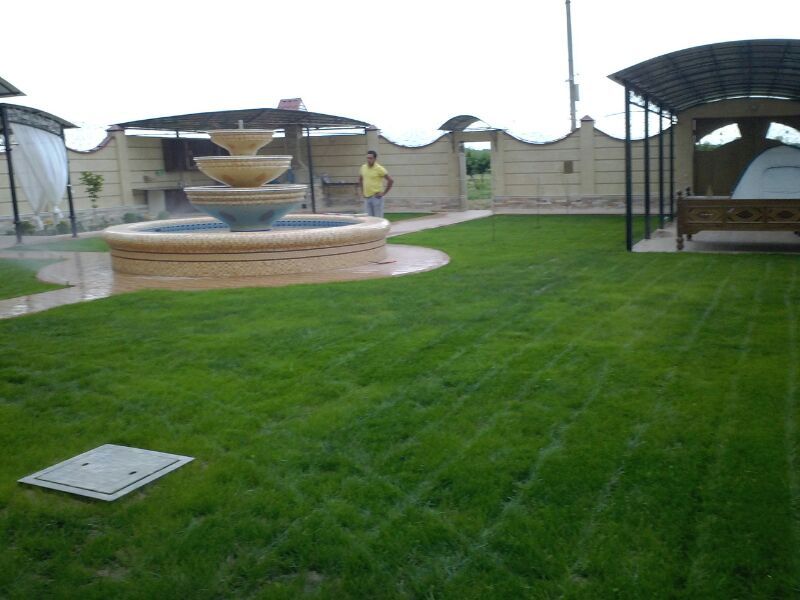 Газоны оптом рулонный поливной систем