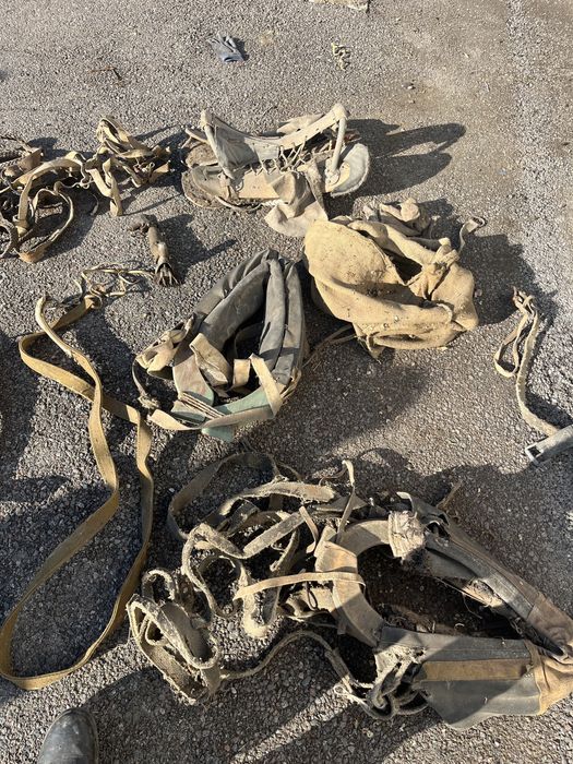 Продам ат саймандарын..