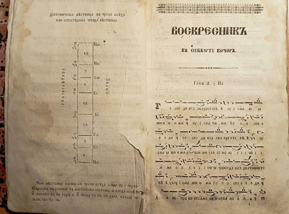 Ковчег цветособрания, содержащее всю церковную единолетную службу. Ч.3