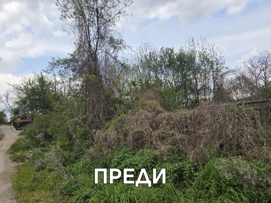 Почистване на запустели парцели дворове и имоти