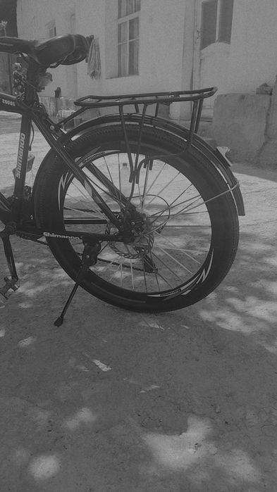 Shimanoo velik sotiladi