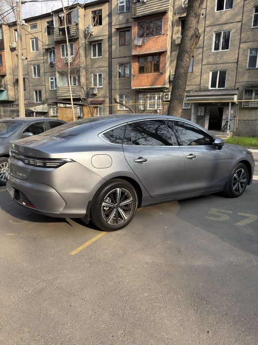 Byd chazor luxe 55 km (2 позиция)