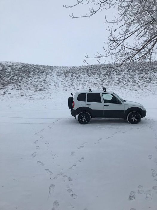 Автомобиль Chevrolet Niva 2017