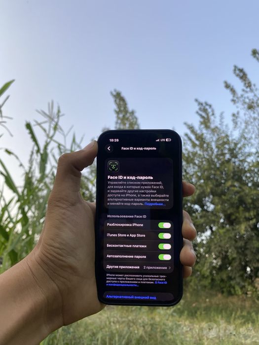 iPhone 13 hamma joyi radnoy