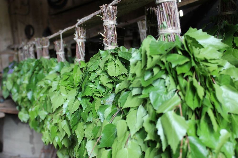 Продам берёзовые веники 700тг