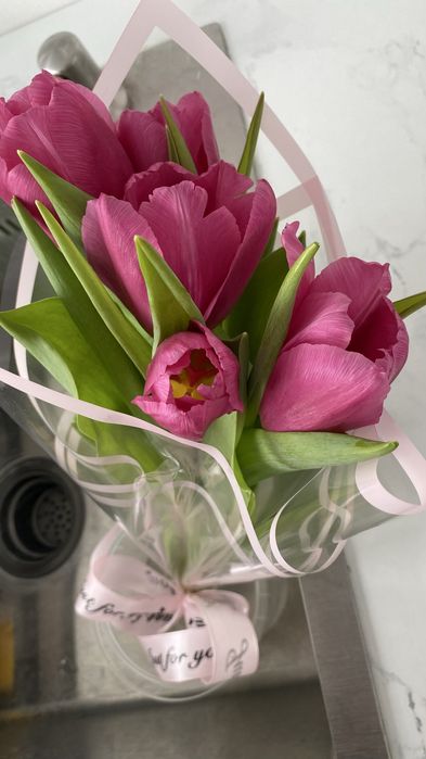 Свежие голландские тюльпаны