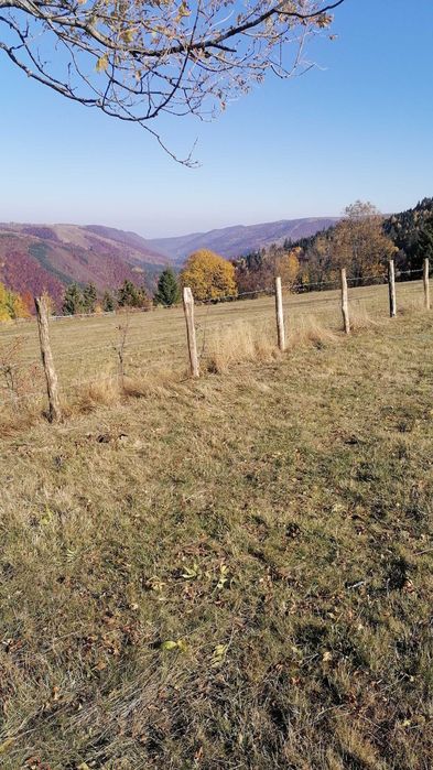 Vând teren pentru cabana la munte