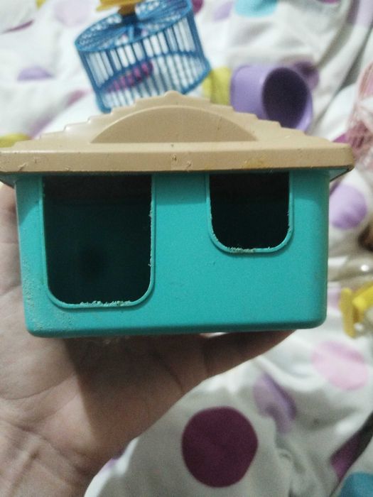 Вещи для грызунов