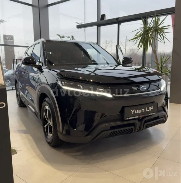 BYD yuan up  2025