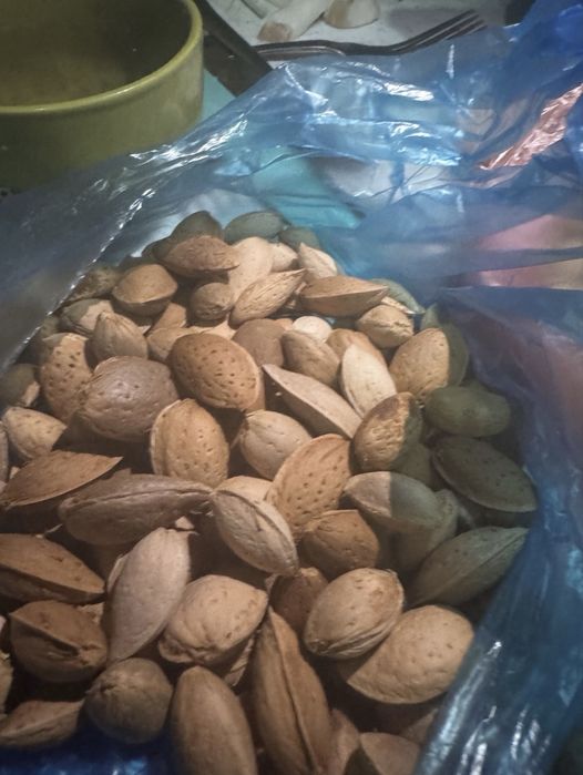 Миндаль сладкий, свежий