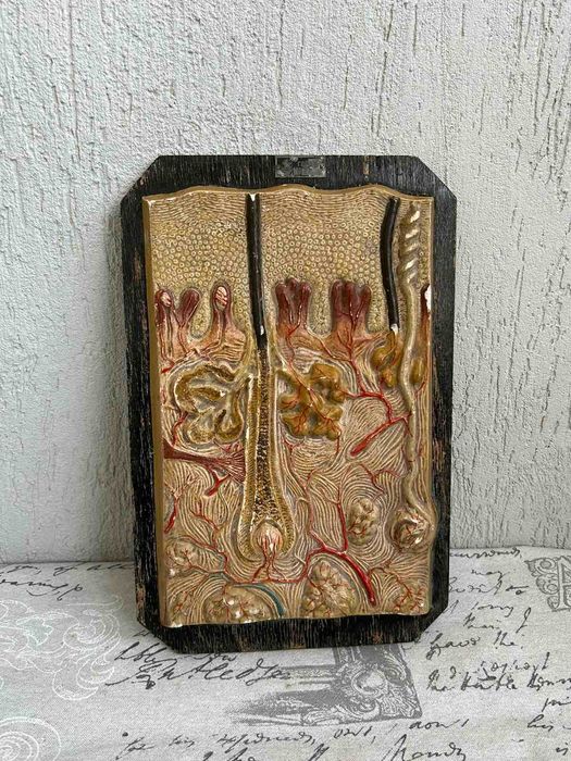 Соц Учебни Модели Макети