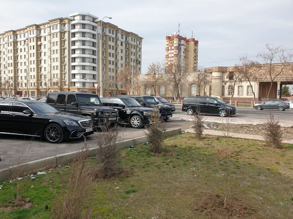 Свадебный кортеж Mercedes-Benz RENJROVER VIANO VITO GELINVAGEN Roy's