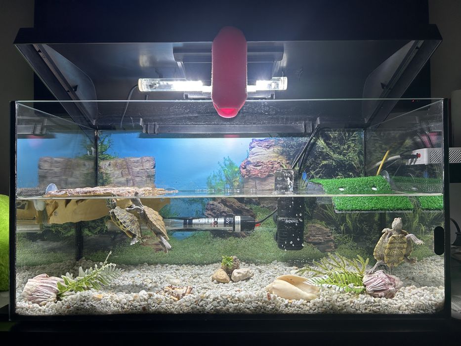 Acvariu de 54 l cu capac