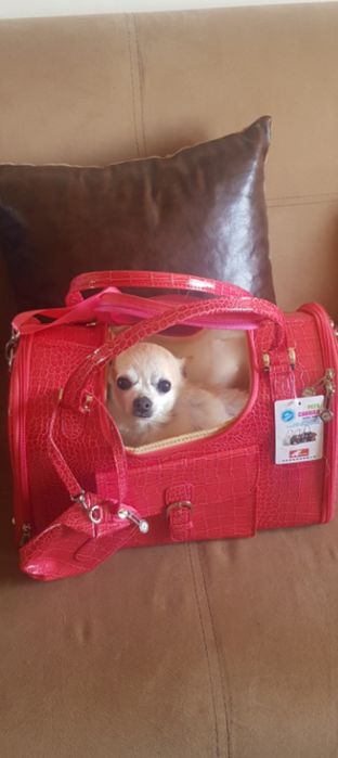 Луксозна транспортна чанта за домашен любимец