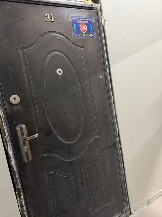 входные двери коричневый