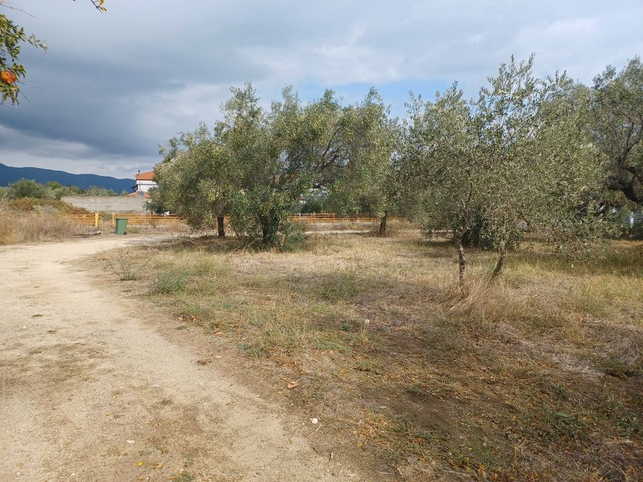 Продава се парцел 680 м2 в регулация в Неа Врасна, Гърция