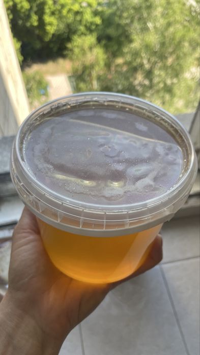 Мед майский продам