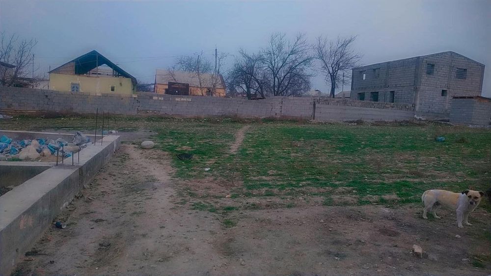 Кувасой шахар кокилон МФЙ да чек сотилади