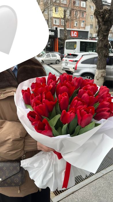 Гүл, қызыл тюльпан, 31 шт