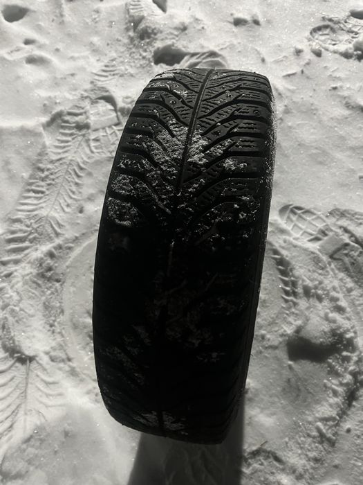 Шина титанка зиний резиний