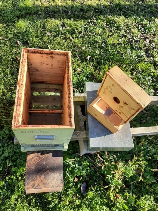 Rame  nicot 1/2 plastic și nuclee de împerecheat mătci