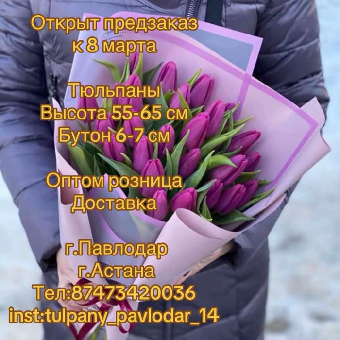 Предзаказ Тюльпанов на 8 марта